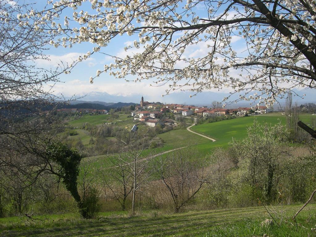 B&B Ca' Dla Nona Brusasco Exteriér fotografie