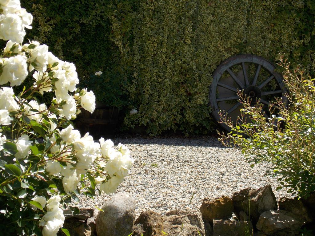 B&B Ca' Dla Nona Brusasco Exteriér fotografie