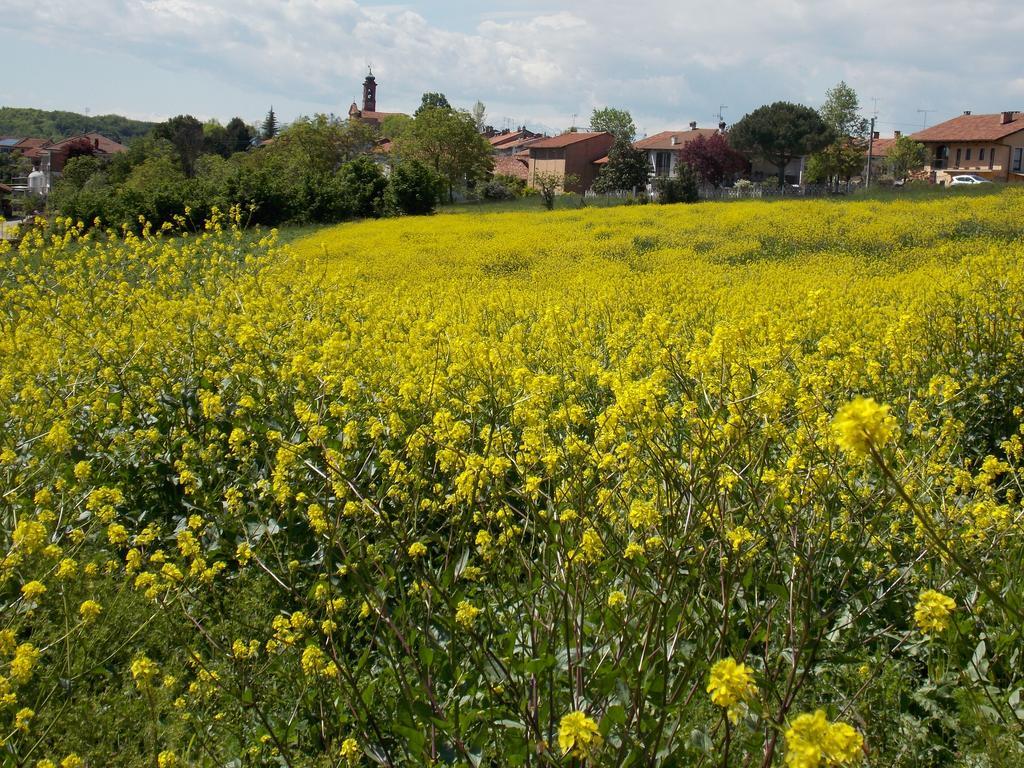 B&B Ca' Dla Nona Brusasco Exteriér fotografie